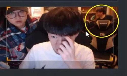 呆呆奇哥互相爆料视频,揭秘娱乐圈背后的秘密与笑料 第1张 呆呆奇哥互相爆料视频,揭秘娱乐圈背后的秘密与笑料 第1张